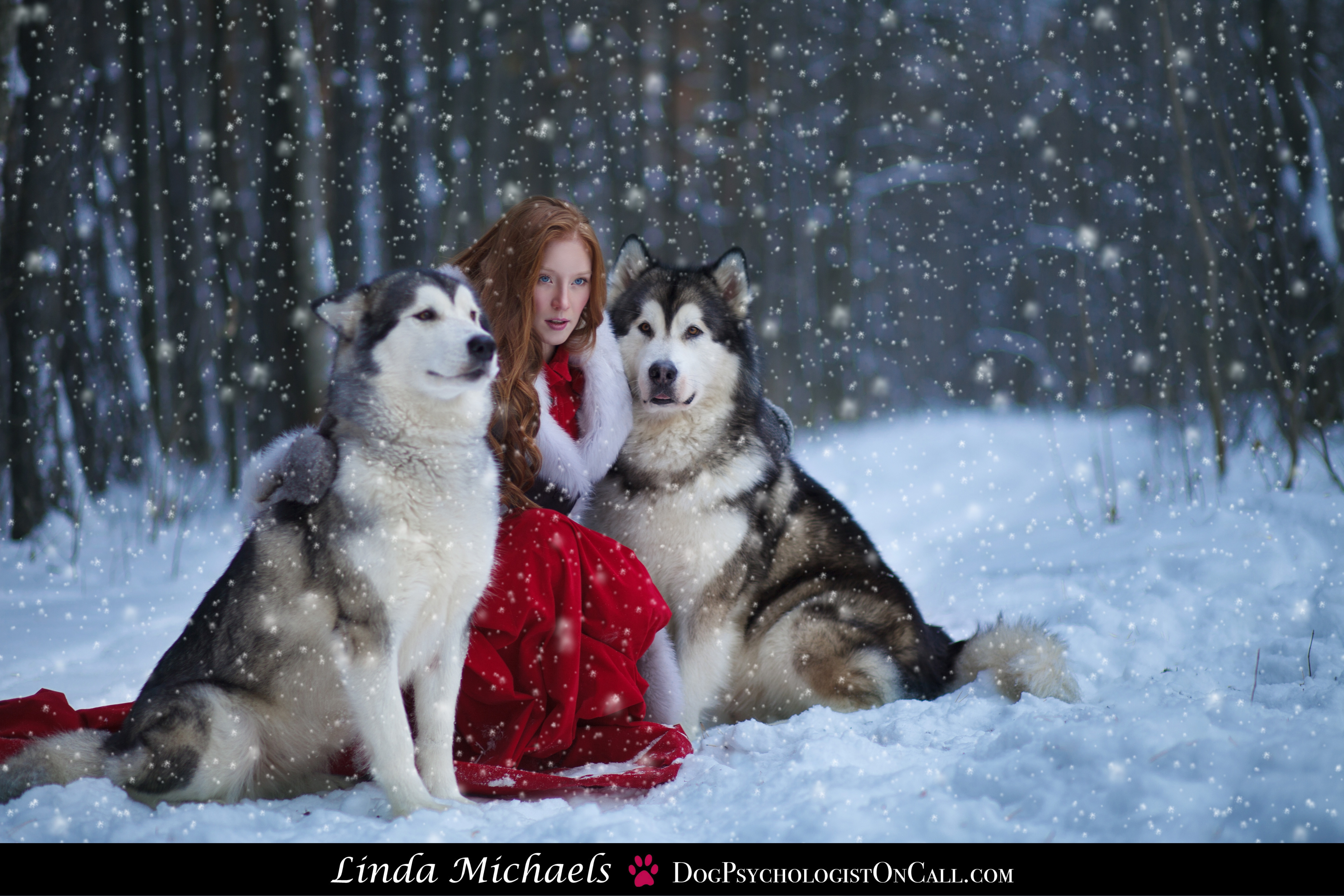 Top 10 Dog Holiday Gifts That Last a Lifetime.   Linda Michaels, M.A.,  Do No Harm Dog Training