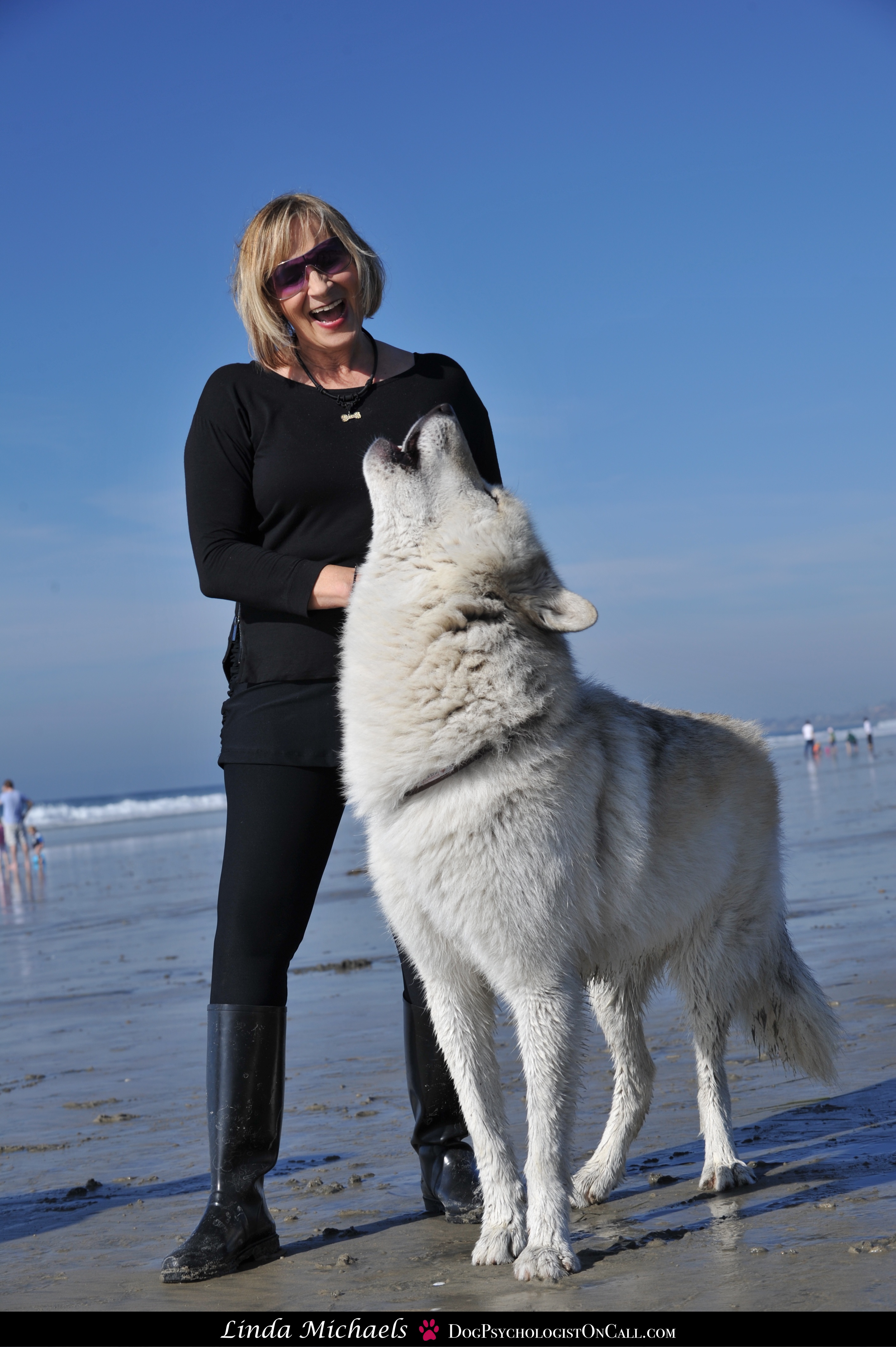 ambassador journey and linda michaels, ma psychology, dog psychologist del mar dog trainer wolfdog training