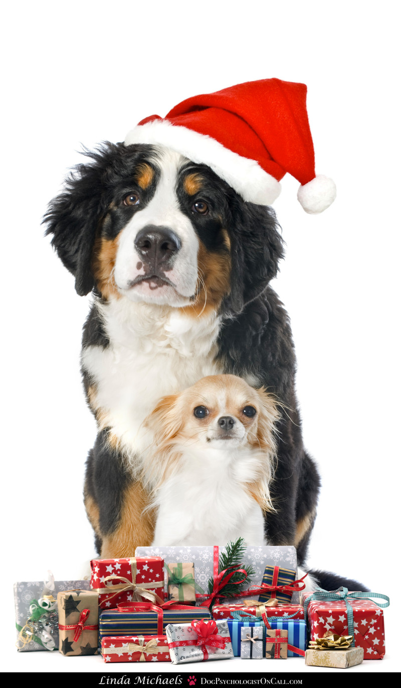 Top 10 Thank You Gifts for Your Jingle Dog.   Linda Michaels, M.A., — Del Mar Dog Training
