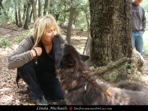 Linda Michaels MA del mar dog trainer dog psychologist san diego dog training wolfdog 