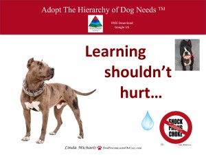 How to make the case for force free dog training linda michaels del mar dog trainer dog psychology positive reinforcement