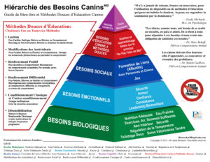 Hierarchy of Dog Needs Linda Michaels Del Mar Dog Trainer dog psychologist dog training pyramid behavior French