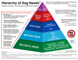 Hierarchy of Dog Needs Linda Michaels Del Mar Dog Trainer dog psychologist dog training pyramid behavior