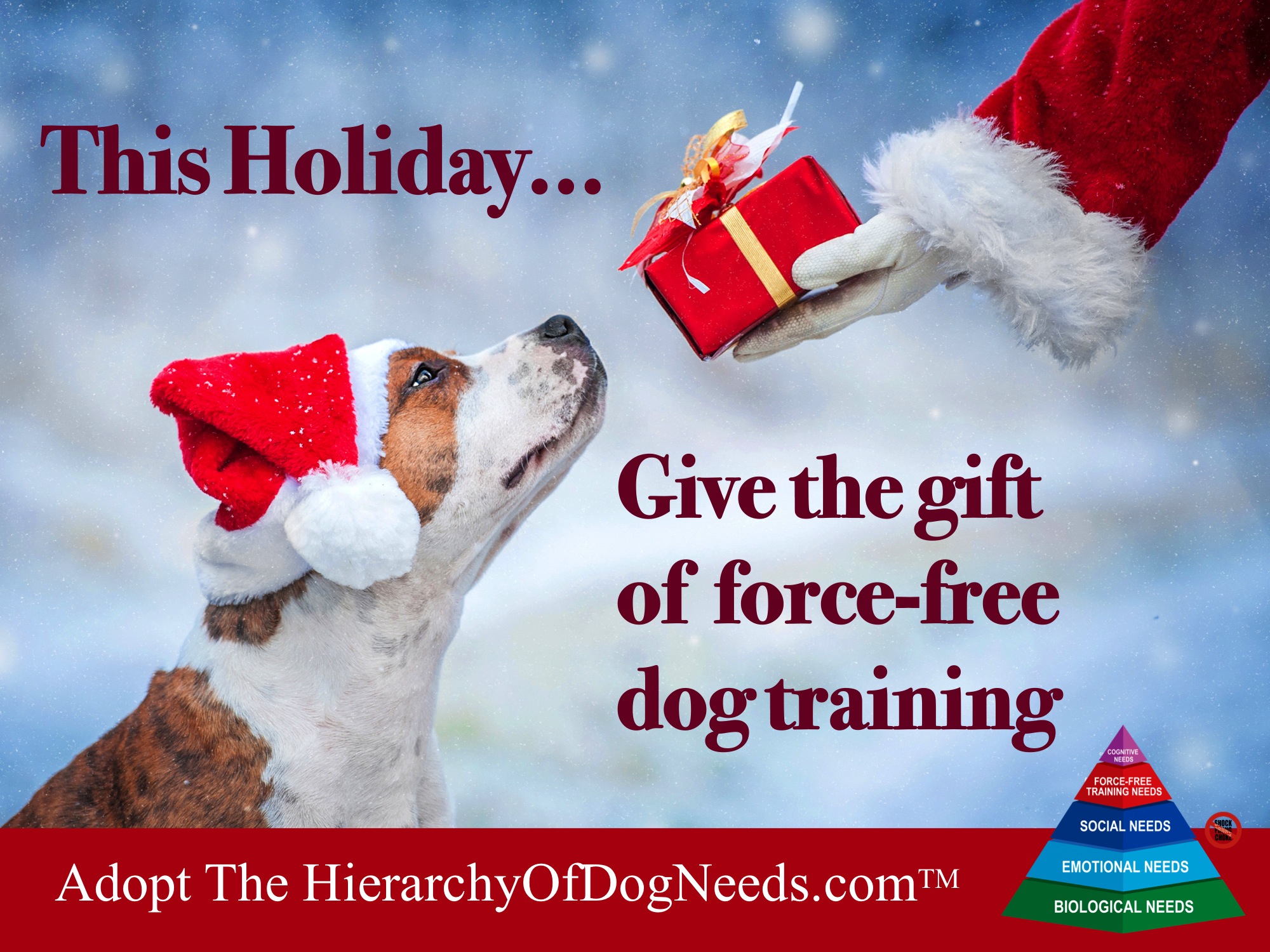 Linda Michaels Del Mar Dog Training Hierarchy of Dog Needs