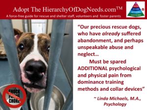 Linda Michaels Del Mar Dog Training Hierarchy of Dog Needs
