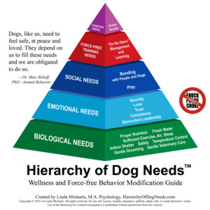 hierarchyofdogneeds_condensed2