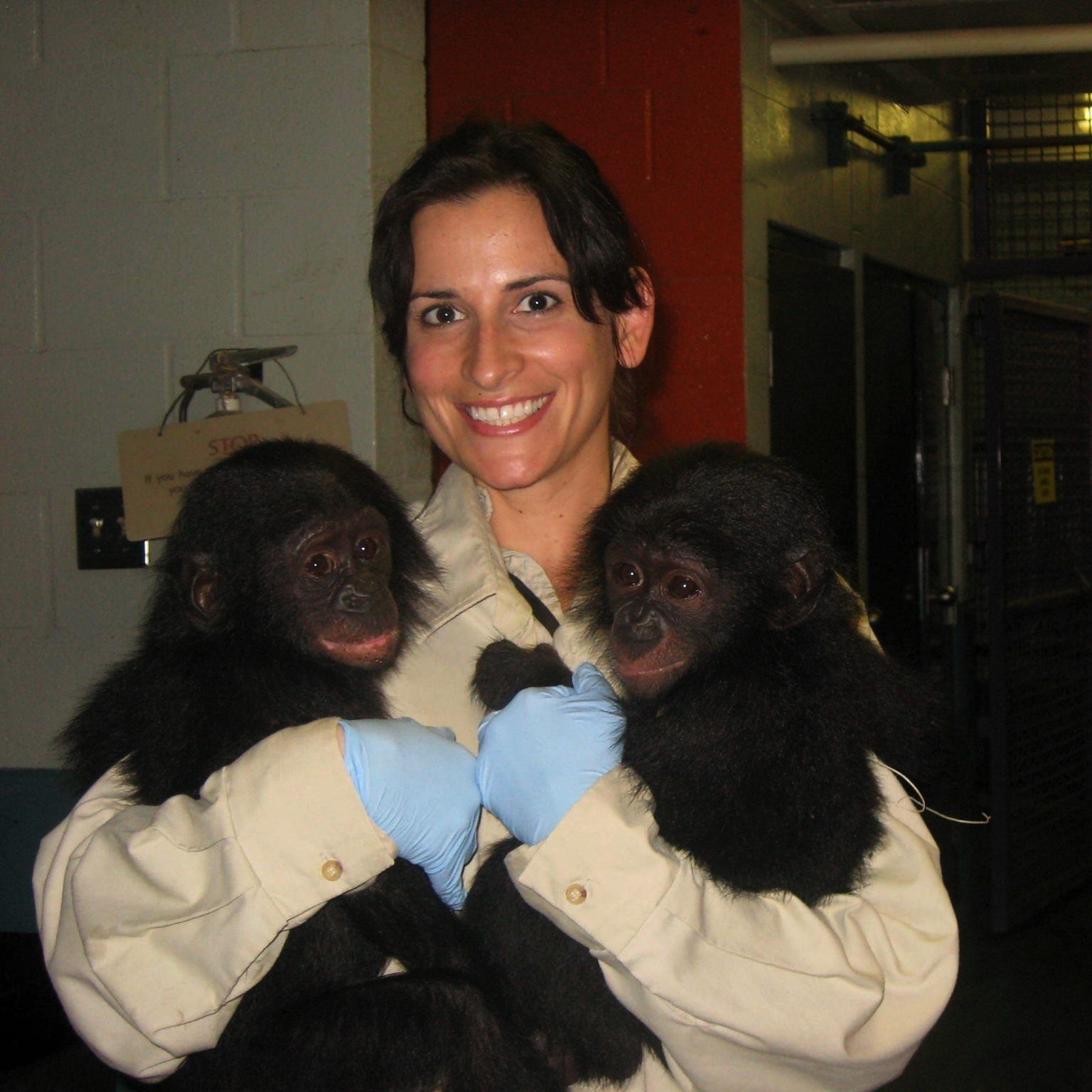 Bonobos monkies animal trainer san diego