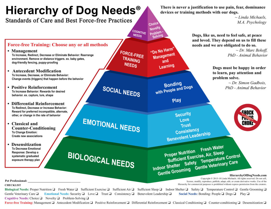 Hierarchy of Dog Needs Linda Michaels dog behavior training